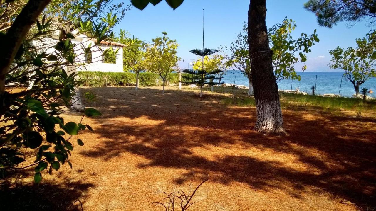 Ionio Apartments Lefkímmi Buitenkant foto